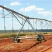 Governo quer ver perímetro irrigado de Caxito mais explorado e produtivo