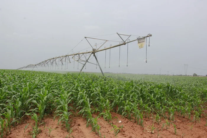 Governo lança ‘Compacto AgriConnect’ com olhos em alimentos mais seguros até 2030