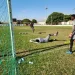 FC Luanda ultima preparação visando o play-off de acesso ao Girabola