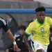 Brasil e Japão lutam hoje pelo apuramento para os oitavos-de-final