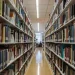 EM LUANDA E ICOLO E BENGO: Centralidades nascem sem espaços para bibliotecas