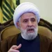 Dirigente do Hezbollah rejeita pressão dos EUA e Israel para desarmar movimento