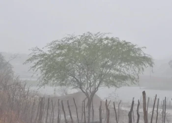 Huíla pode registar a temperatura mais baixa de Angola nas próximas 24 horas