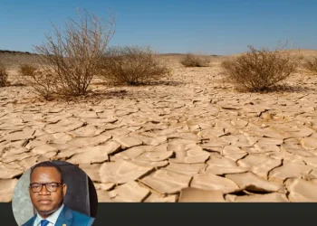Quando a terra pede socorro