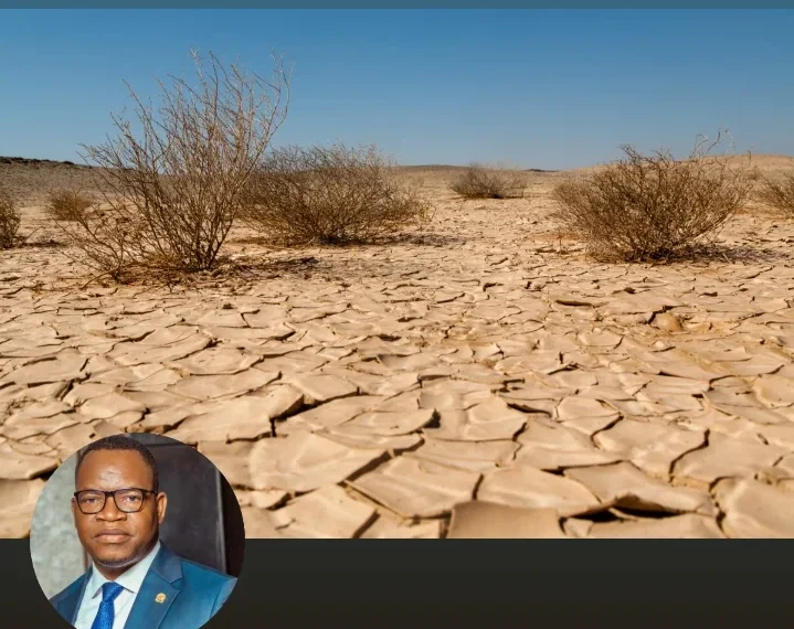 Quando a terra pede socorro