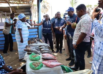 Feira do Pescador impulsiona a economia comunitária do Mussulo