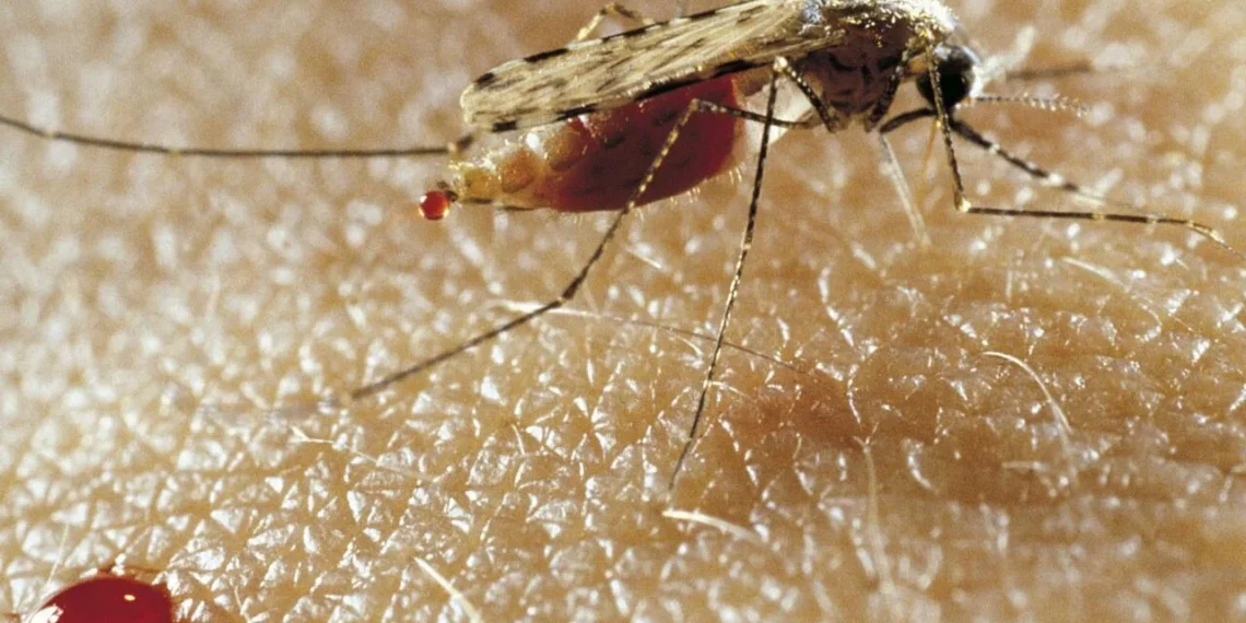 Bié regista mais de 400 mortes por malária no primeiro semestre de 2026