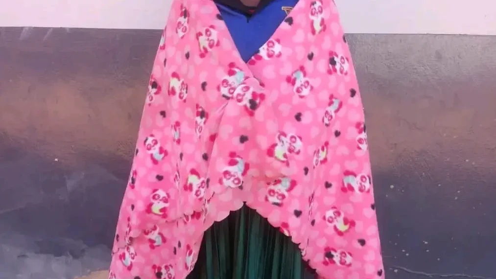 Mulher detida após roubar duas crianças para alegadamente enganar o marido