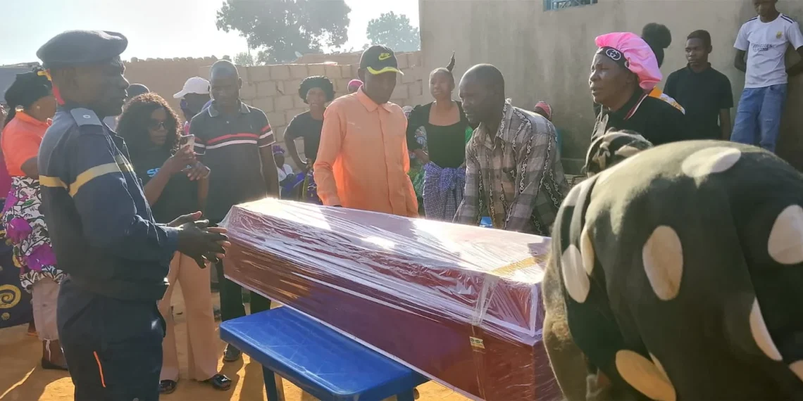 Anciã de 86 anos morre depois de ser atacada por abelhas no Huambo