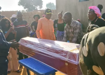 Anciã de 86 anos morre depois de ser atacada por abelhas no Huambo