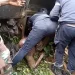 Acidente de viação faz duas vítimas mortais e dois feridos graves no Tomboco