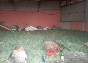 Desmantelada fábrica clandestina de produção de sabão no Panguila