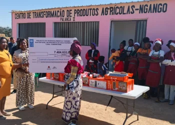 ADRA e PNUD disponibilizam mais de 7 milhões de kwanzas para apoiar camponeses de Ngango