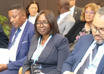 Angola apresenta avanços da transformação digital do Sistema de Saúde em Lisboa