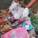 Recém-nascido encontrado sem vida num contentor de lixo no Rangel