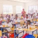 PNAE no Huambo cria mais de dois mil empregos directos
