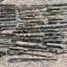 Encontradas 46 armas de fogo obsoletas à margem do rio Lussoim