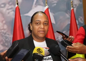 Vice-presidente do MPLA cumpre agenda de trabalho na Huíla