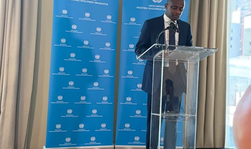 Angola defende energia como base da industrialização e do desenvolvimento sustentável