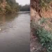 Jovem de 27 anos morre afogado durante actividade de garimpo de ouro no rio Kwengue