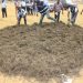SIC desactiva 17 hectares de cultivo de liamba em Malanje
