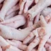 ANAVI denuncia importação de rabinho de bovino e restos de frango quase um ano após proibição do Governo