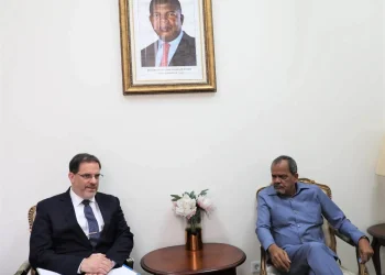 Angola e África do Sul avaliam estado da relação de cooperação
