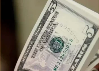 Divisas da diáspora: investir ou sobreviver?