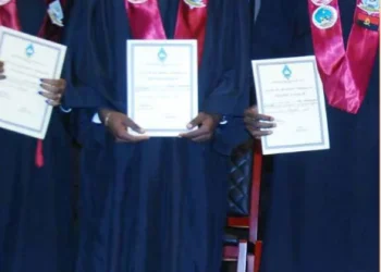 Educação técnica vs. diploma académico: qual deles gera o verdadeiro retorno em Angola?