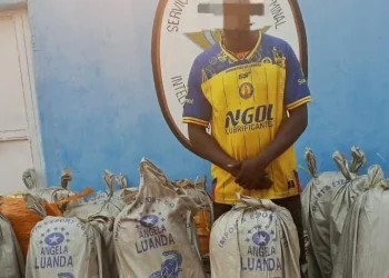 Detido condutor de camião em posse de 16 sacos de 150 kg de liamba na Lunda-Norte