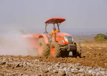 Programa de Correção de Solos vai abranger dois mil hectares na província do Huambo