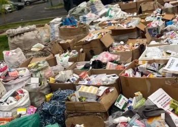 DIIP apreende mais de 15 toneladas de fármacos contrafeitos postos a circular em todo o país
