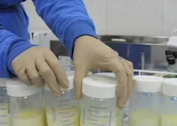 Banco de Leite Humano da Maternidade Lucrécia Paim já beneficiou mais de quatro mil bebés