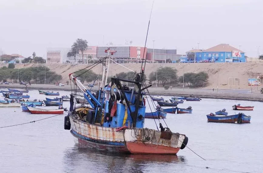 Aberta época de pesca do carapau depois de 60 dias de veda