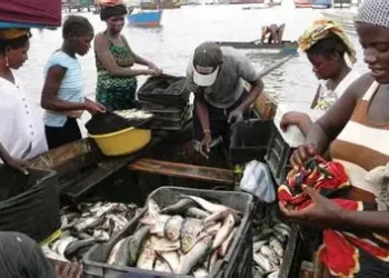 Produção de pescado cresce para 725 mil toneladas em 2025