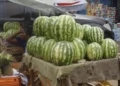 Cerca de três milhões de toneladas de fruta perdem-se anualmente no campo