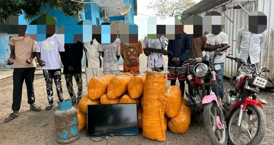 Detidos 11 cidadãos por transportar 375 quilogramas de liamba no ambriz