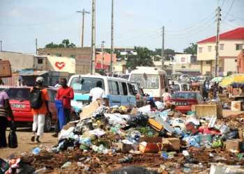 Bebé de 11 meses morre após alegado ataque de ratazanas no bairro ‘Malanjino’ em Luanda