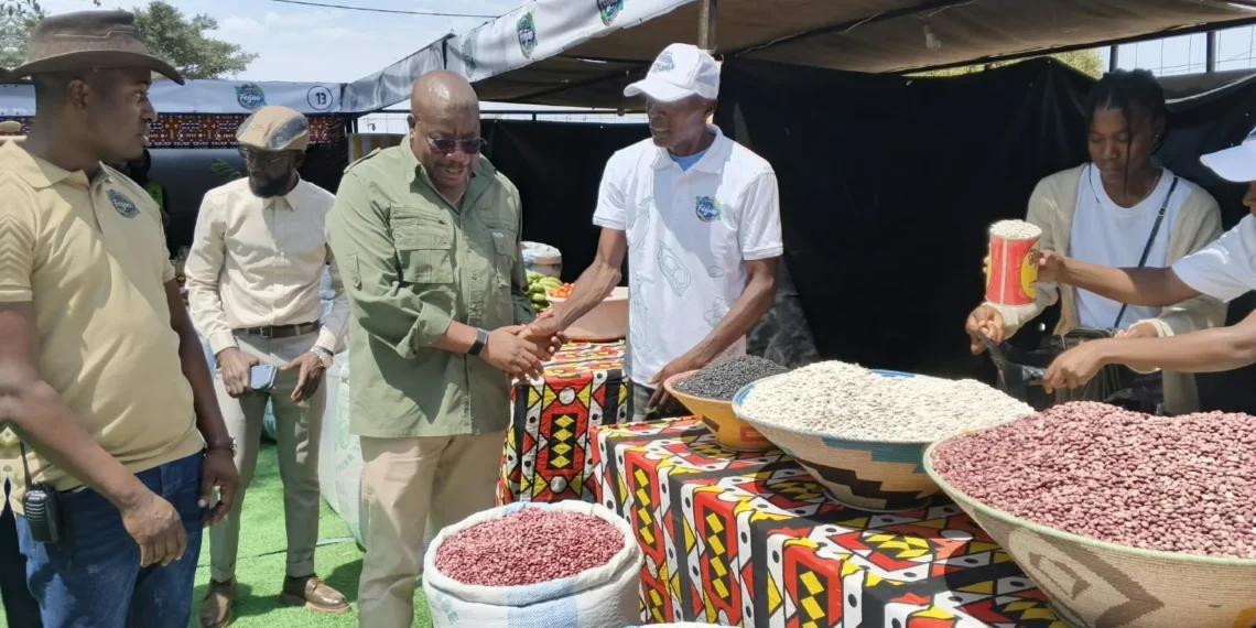 Administrador de Camucuio evidencia capacidade do município na produção de feijão