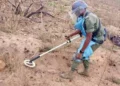 Mais de 400 engenhos explosivos destruídos na Lunda-Norte