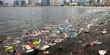 Ministério do Ambiente promove debate para melhorar as condições ambientais e prevenir a poluição costeira