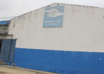 Antigos trabalhadores da EDIPESCA exigem enquadramento na Segurança Social e acesso à reforma