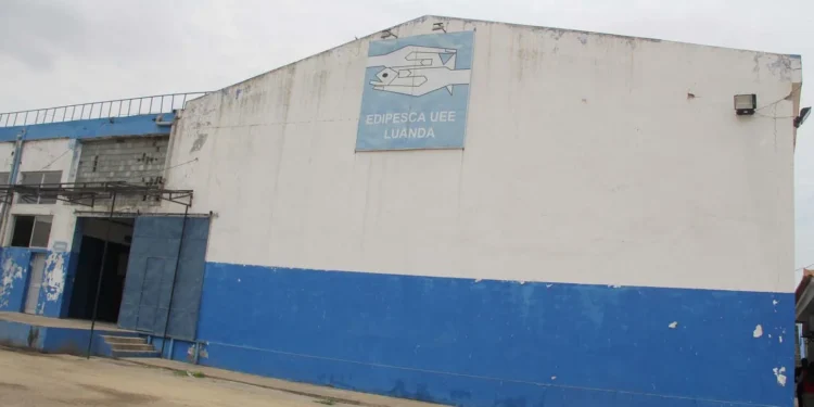 Antigos trabalhadores da EDIPESCA exigem enquadramento na Segurança Social e acesso à reforma
